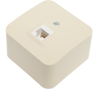Розетка компьютерная Systeme Electric ( Schneider Electric) Blanca наруж Беж, RJ45, кат.5E SE BLNIA045007 12 шт 13606489775817