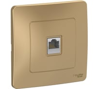 Розетка компьютерная Systeme Electric ( Schneider Electric) Blanca внутр Титан, RJ45 SE BLNIS045004 10 шт 13606481195439