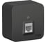 Розетка компьютерная Systeme Electric ( Schneider Electric) Blanca наруж Антрацит, RJ45, кат.5E SE BLNIA045006 12 шт 13606481197273 2