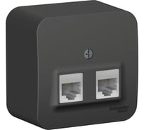 Розетка двойная компьютерная Systeme Electric ( Schneider Electric) Blanca наруж Антрацит RJ45 SE BLNIA045456 12 шт 13606481197280