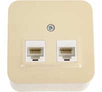 Розетка компьютерная Systeme Electric, 2-м ОП Blanca RJ45 кат.5E с изолир. пластиной беж. SE BLNIA045457 12 шт 13606489775824