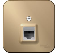 Розетка компьютерная Systeme Electric ( Schneider Electric) Blanca наруж Титан, RJ45, кат.5E SE BLNIA045004 12 шт 13606481332919