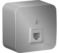 Розетка телефонная Systeme Electric (Schneider Electric) Blanca наруж алюминий RJ11 изолированная пластина SE BLNIA011003 12 шт 13606481197006
