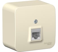 Розетка телефонная Systeme Electric (Schneider Electric) BLANCA О/У RJ11 молочный BLNIA011002 12 шт 13606481196481