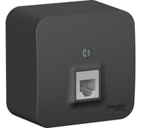 Розетка телефонная Systeme Electric (Schneider Electric) Blanca наруж антрацит RJ11 изолированная пластина SE BLNIA011006 12 шт 13606481197266