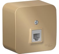 Розетка телефонная Systeme Electric (Schneider Electric) Blanca наруж титан RJ11 изолированная пластина SE BLNIA011004 12 шт 13606481332902