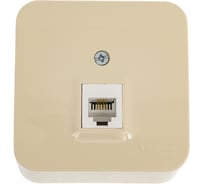 Розетка телефонная Systeme Electric (Schneider Electric) Blanca о/у rj11 изолированная пластина, бежевый BLNIA011007 12 шт 13606489775800
