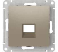 Накладка Systeme Electric Atlasdesign для информационных функций типа Keystone, ШАМПАНЬ ATN000584 10 шт 4690201059141