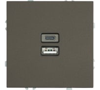Розетка 2-местная STEKKER Эмили USB + Type C, механизм, 250В, 20W, RST10-5115-09, антрацит, soft touch 49931