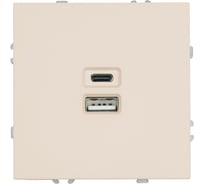 Розетка STEKKER 2-местная USB + Type C, механизм, 250В, 20W, серия Эмили, RST10-5115-08, кашемир, soft touch 49905