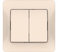 2-клавишный выключатель Systeme Electric GLOSSA сх.5, 10АХ, в сборе, быстрозажимные клеммы, бежевый GSL000252S 15 шт 13606482111056