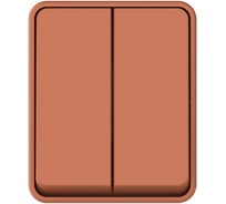 2-клавишный выключатель Systeme Electric ATLASDESIGN PROFI IP54 О/У, сх.5, 10АХ, терракотовый ATN547051 12 шт 4690201045748