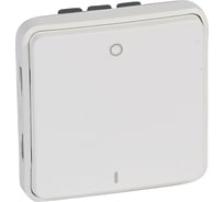 Двухполюсный выключатель Legrand антибакт. покрытие Программа Plexo 10 AX 250 В модульный белый 070727