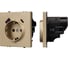 Механизм розетки с USB зарядкой Arlight SCT-NOBE-MUAC-SFPL-GD 1шт 054286 1