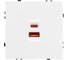 Механизм розетки с быстрой USB зарядкой Arlight SCT-NOBE-MUAC-SFPL-FC-WH 1шт 054316 2