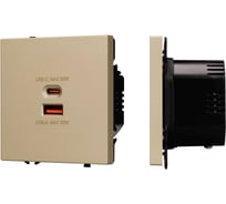 Механизм розетки с быстрой USB зарядкой Arlight SCT-NOBE-MUAC-SFPL-FC-GD 1шт 054318