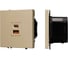 Механизм розетки с быстрой USB зарядкой Arlight SCT-NOBE-MUAC-SFPL-FC-GD 1шт 054318 1