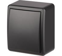 Переключатель ЭРА Эксперт 11-1203-05 10АХ250В IP20 ОУ антрацит Б0063003
