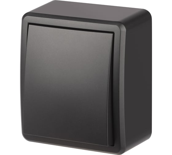 Переключатель ЭРА Эксперт 11-1203-05 10АХ250В IP20 ОУ антрацит Б0063003 1