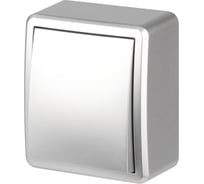 Переключатель ЭРА Эксперт 11-1203-03 10АХ250В IP2 ОУ алюминий Б0062990