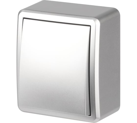 Переключатель ЭРА Эксперт 11-1203-03 10АХ250В IP2 ОУ алюминий Б0062990 1