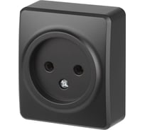 Розетка ЭРА Эксперт 11220105 2P IP20 16A250В ОУ антрацит Б0062992