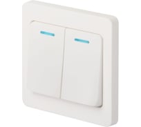 Выключатель Intro Style 710501 двойной, с подсветкой, 10А, 250В, IP20, СУ, белый Б0060631