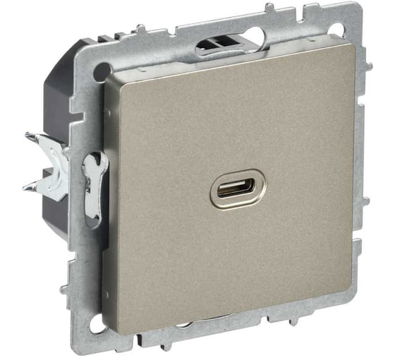 Розетка IEK BRITE USB C, 65Вт, высокоскоростная зарядка, шампань РЮ12-1-БрШ BR-U13-065-K37 1