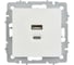 Розетка IEK BRITE USB A+C, 45Вт, высокоскоростная зарядка, белый РЮ11-2-БрБ BR-U22-045-K01 2
