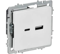 Розетка IEK BRITE USB A+C, 18Вт, арктический белый РЮ11-1-БрАБ BR-U22-018-K91