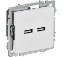 Розетка IEK BRITE USB A+A, 3.1А, арктический белый РЮ10-1-БрАБ BR-U21-D31-K91