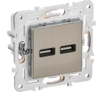 Розетка IEK SKANDY USB A+A, 3.1А, никель SK-R15N SK-U21-D31-K50