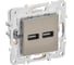 Розетка IEK SKANDY USB A+A, 3.1А, никель SK-R15N SK-U21-D31-K50 1