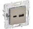 Розетка IEK SKANDY USB A+C, 18Вт, никель SK-R13N SK-U22-018-K50 1