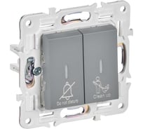 Выключатель 2-клавишный IEK BRITE с индикацией, отельный, 10А, серый SK-V16Gr SK-V20-2-10-K03