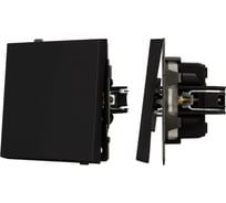 Механизм звонкового выключателя Arlight SWT-TENDO-MKR1-SFPL-BK 1шт 054587