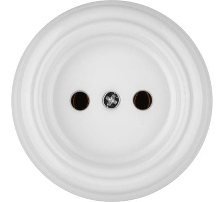 Розетка TDM ELECTRIC фарфоровая 2П 10А 250В белая, серия "Болонь" SQ1820-0004