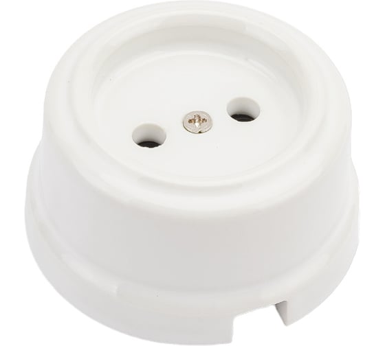 Розетка TDM ELECTRIC фарфоровая 2П 10А 250В белая, серия "Болонь" SQ1820-0004