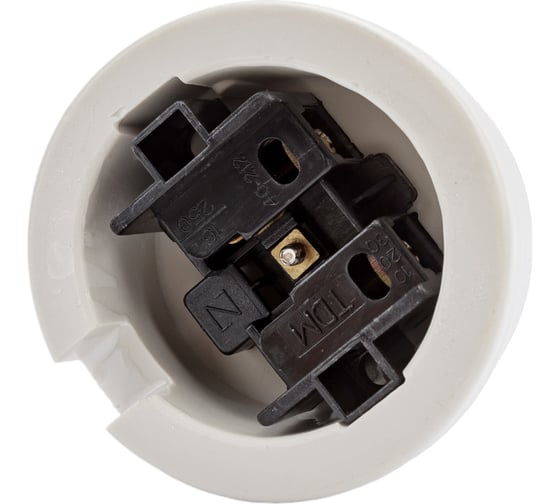 Розетка TDM ELECTRIC фарфоровая 2П 10А 250В белая, серия "Болонь" SQ1820-0004