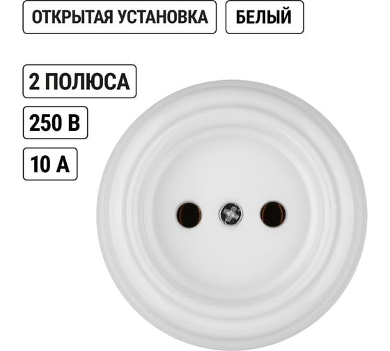 Розетка TDM ELECTRIC фарфоровая 2П 10А 250В белая, серия "Болонь" SQ1820-0004