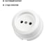 Розетка TDM ELECTRIC фарфоровая 2П 10А 250В белая, серия "Болонь" SQ1820-0004 4