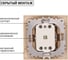 Розетка TDM ELECTRIC 2П+З 16А 250В "ЭКО" сосна "Таймыр" SQ1814-0212 2