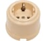 Розетка TDM ELECTRIC фарфоровая 2П+З 16А 250В сл. кость «Болонь» SQ1820-0312 3