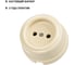 Розетка TDM ELECTRIC фарфоровая 2П 10А 250В слоновая кость, серия "Болонь" SQ1820-0311 4