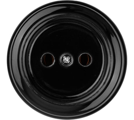 Розетка TDM ELECTRIC фарфоровая 2П 10А 250В черная, серия "Болонь" SQ1820-0005