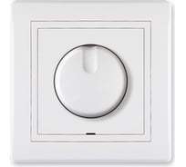 Светорегулятор - диммер Aling-conel PRESTIGE для LED 0-100 W, белый 6175.000 113051