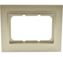 Двойная рамка для розетки Mono Electric DESPINA бронза 102-230000-165