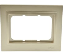 Двойная рамка для розетки Mono Electric DESPINA титан 102-220000-165