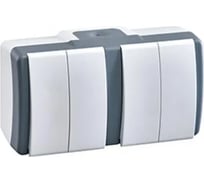 2-клавишный выключатель + 2-клавишный выключатель Mono Electric OCTANS IP54, бело-серый 154-020001-177