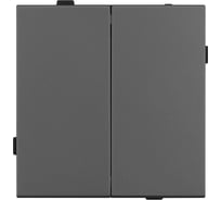 Механизм выключателя двухклавишный непроходной Arlight SWT-TENDO-MK02-SFPL-GR 1шт 054546